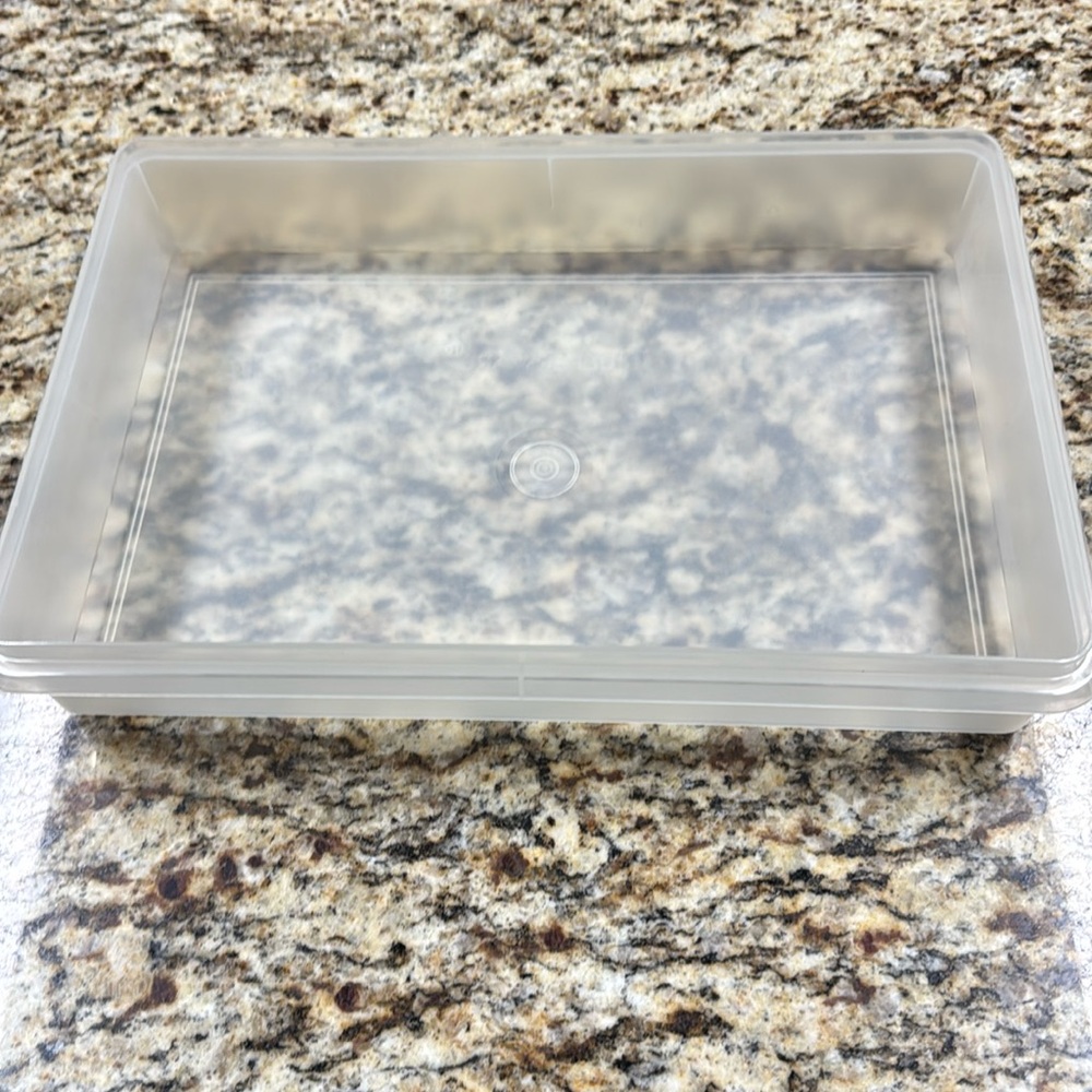 Tupperware Rectangle Container 290-9 White/Clear Body